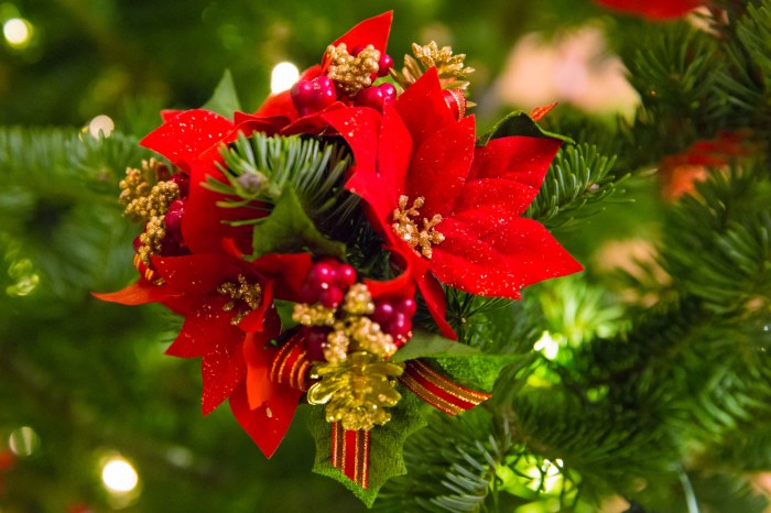 Weihnachten christrose deko