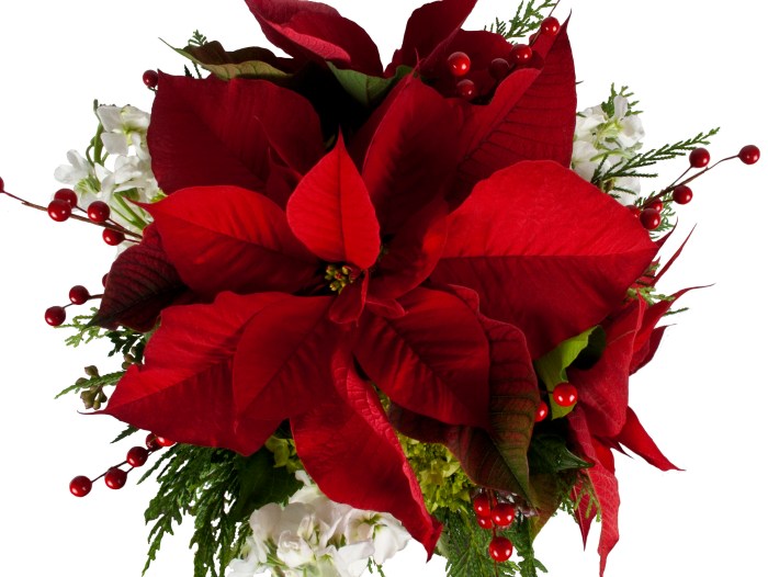 Poinsettia artificial wrapped